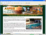 Website Design - Aspen Resort - Image